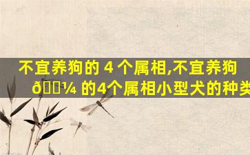 不宜养狗的４个属相,不宜养狗 🐼 的4个属相小型犬的种类